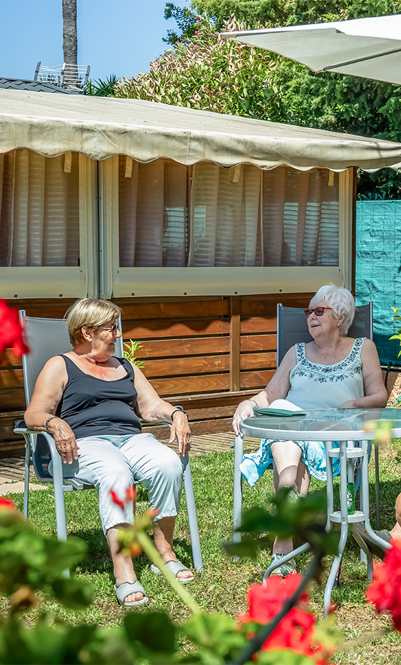 camping a hyeres les palmiers